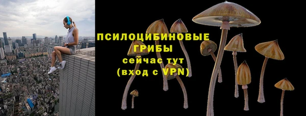 мет Арсеньев
