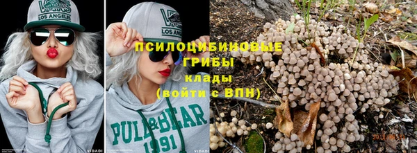 каннабис Аркадак